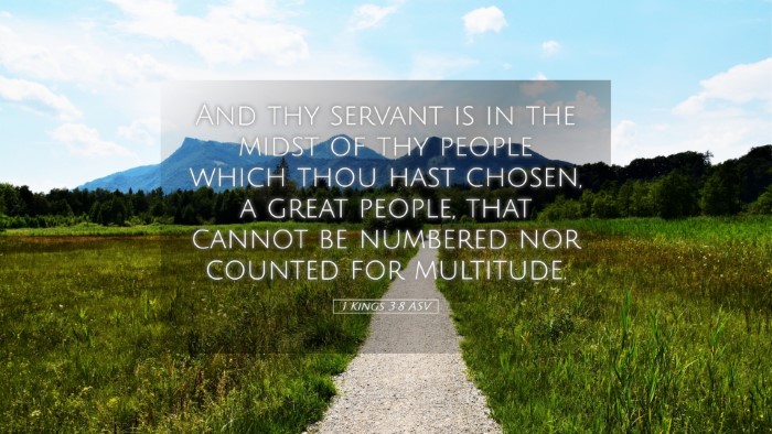 Picture 05 - 1 Kings 3:8 ASV Desktop Wallpaper - And thy servant is in the midst of thy people - Desktop Bible Verse Wallpaper