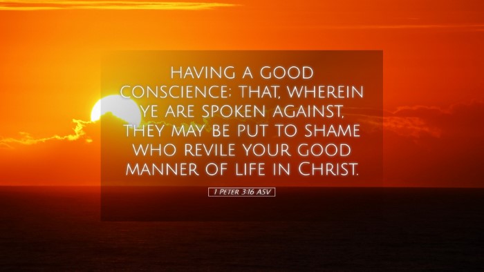 Picture 05 - 1 Peter 3:16 ASV Desktop Wallpaper - having a good conscience; that, wherein ye are - Desktop Bible Verse Wallpaper