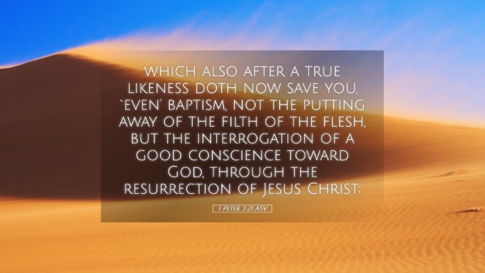 Picture 05 - 1 Peter 3:21 ASV Desktop Wallpaper - which also after a true likeness doth now save - Desktop Bible Verse Wallpaper