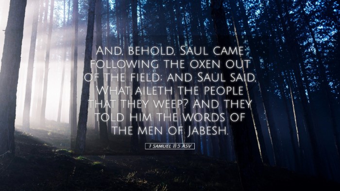 Picture 05 - 1 Samuel 11:5 ASV Desktop Wallpaper - And, behold, Saul came following the oxen out of - Desktop Bible Verse Wallpaper