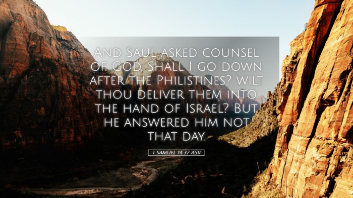 Picture 05 - 1 Samuel 14:37 ASV Desktop Wallpaper - And Saul asked counsel of God, Shall I go down - Desktop Bible Verse Wallpaper