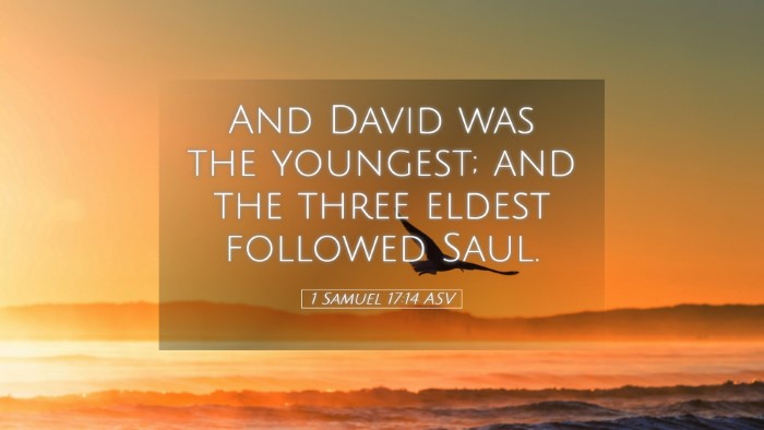 Picture 05 - 1 Samuel 17:14 ASV Desktop Wallpaper - And David was the youngest; and the three eldest - Desktop Bible Verse Wallpaper