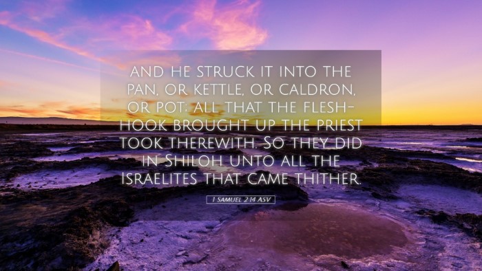 Picture 05 - 1 Samuel 2:14 ASV Desktop Wallpaper - and he struck it into the pan, or kettle, or - Desktop Bible Verse Wallpaper