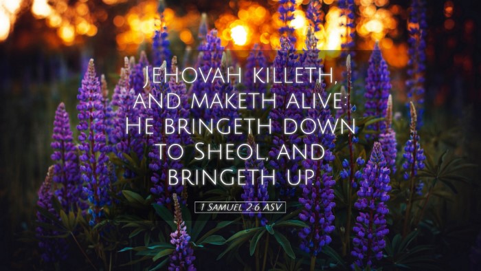 Picture 05 - 1 Samuel 2:6 ASV Desktop Wallpaper - Jehovah killeth, and maketh alive: He bringeth - Desktop Bible Verse Wallpaper