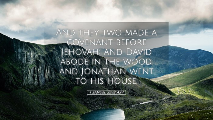 Picture 05 - 1 Samuel 23:18 ASV Desktop Wallpaper - And they two made a covenant before Jehovah: and - Desktop Bible Verse Wallpaper