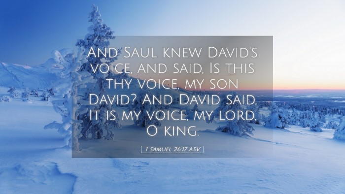 Picture 05 - 1 Samuel 26:17 ASV Desktop Wallpaper - And Saul knew David's voice, and said, Is this - Desktop Bible Verse Wallpaper