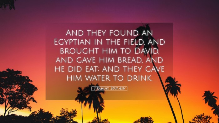 Picture 05 - 1 Samuel 30:11 ASV Desktop Wallpaper - And they found an Egyptian in the field, and - Desktop Bible Verse Wallpaper