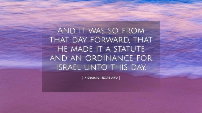 Picture 05 - 1 Samuel 30:25 ASV Desktop Wallpaper - And it was so from that day forward, that he made - Desktop Bible Verse Wallpaper