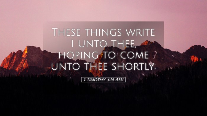 Picture 05 - 1 Timothy 3:14 ASV Desktop Wallpaper - These things write I unto thee, hoping to come - Desktop Bible Verse Wallpaper