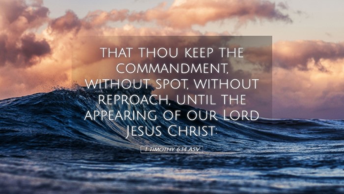 Picture 05 - 1 Timothy 6:14 ASV Desktop Wallpaper - that thou keep the commandment, without spot, - Desktop Bible Verse Wallpaper