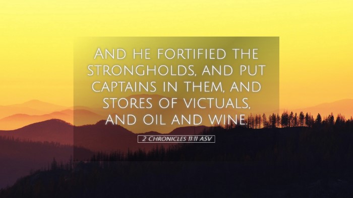 Picture 05 - 2 Chronicles 11:11 ASV Desktop Wallpaper - And he fortified the strongholds, and put - Desktop Bible Verse Wallpaper