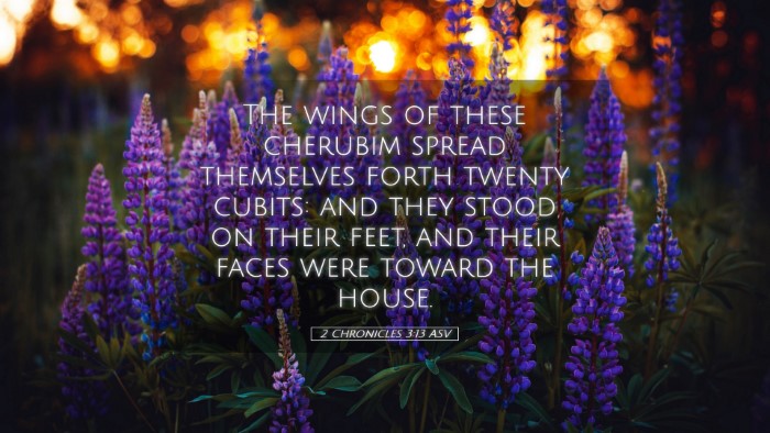 Picture 05 - 2 Chronicles 3:13 ASV Desktop Wallpaper - The wings of these cherubim spread themselves - Desktop Bible Verse Wallpaper