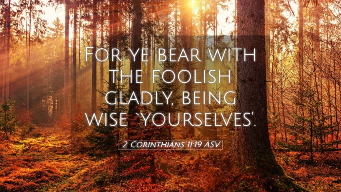 Picture 05 - 2 Corinthians 11:19 ASV Desktop Wallpaper - For ye bear with the foolish gladly, being wise - Desktop Bible Verse Wallpaper