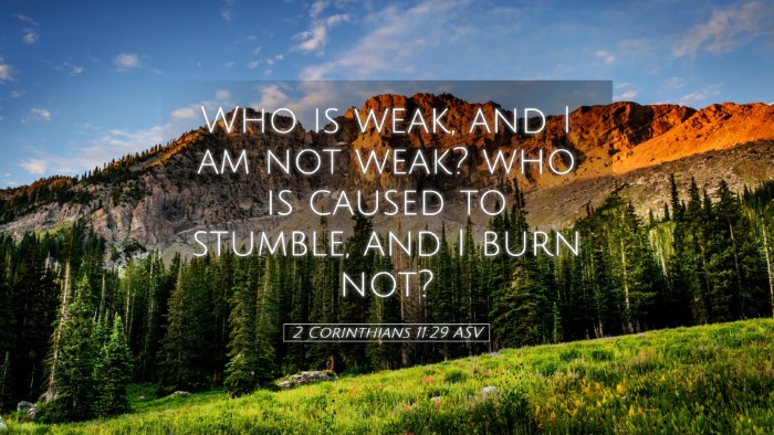 Picture 05 - 2 Corinthians 11:29 ASV Desktop Wallpaper - Who is weak, and I am not weak? who is caused to - Desktop Bible Verse Wallpaper