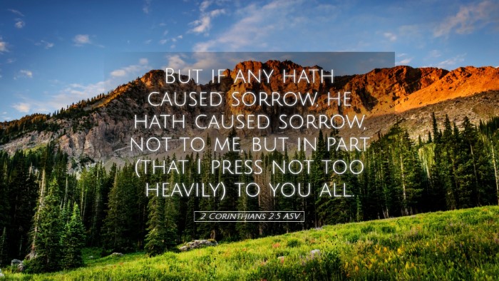 Picture 05 - 2 Corinthians 2:5 ASV Desktop Wallpaper - But if any hath caused sorrow, he hath caused - Desktop Bible Verse Wallpaper