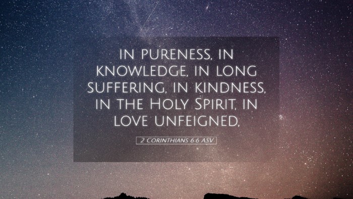 Picture 05 - 2 Corinthians 6:6 ASV Desktop Wallpaper - in pureness, in knowledge, in long suffering, in - Desktop Bible Verse Wallpaper