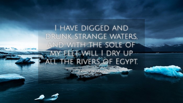Picture 05 - 2 Kings 19:24 ASV Desktop Wallpaper - I have digged and drunk strange waters, and with - Desktop Bible Verse Wallpaper