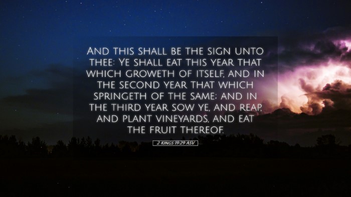 Picture 05 - 2 Kings 19:29 ASV Desktop Wallpaper - And this shall be the sign unto thee: Ye shall - Desktop Bible Verse Wallpaper