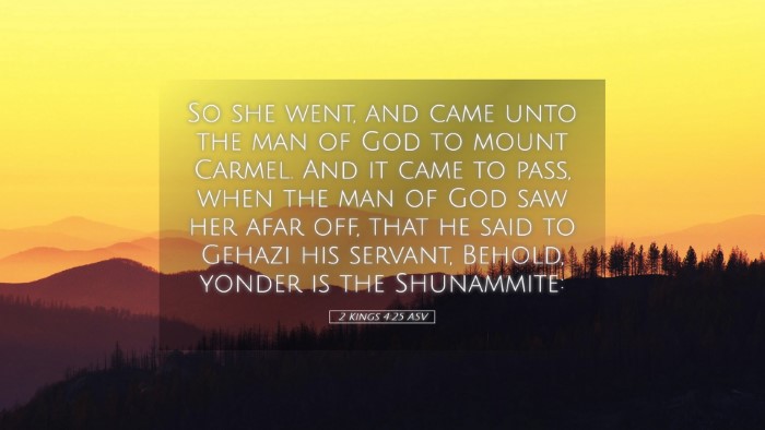 Picture 05 - 2 Kings 4:25 ASV Desktop Wallpaper - So she went, and came unto the man of God to - Desktop Bible Verse Wallpaper