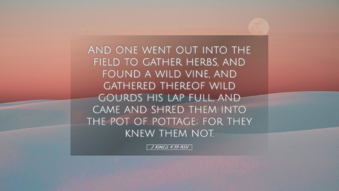 Picture 05 - 2 Kings 4:39 ASV Desktop Wallpaper - And one went out into the field to gather herbs, - Desktop Bible Verse Wallpaper
