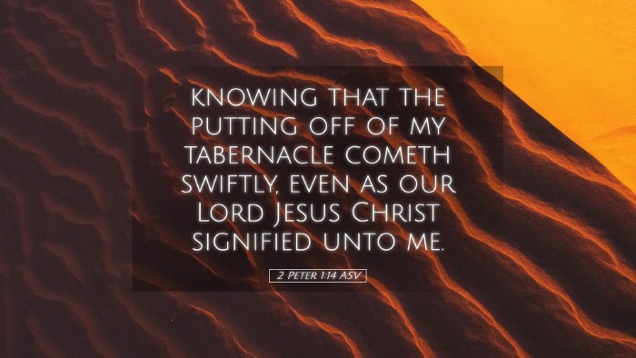 Picture 05 - 2 Peter 1:14 ASV Desktop Wallpaper - knowing that the putting off of my tabernacle - Desktop Bible Verse Wallpaper