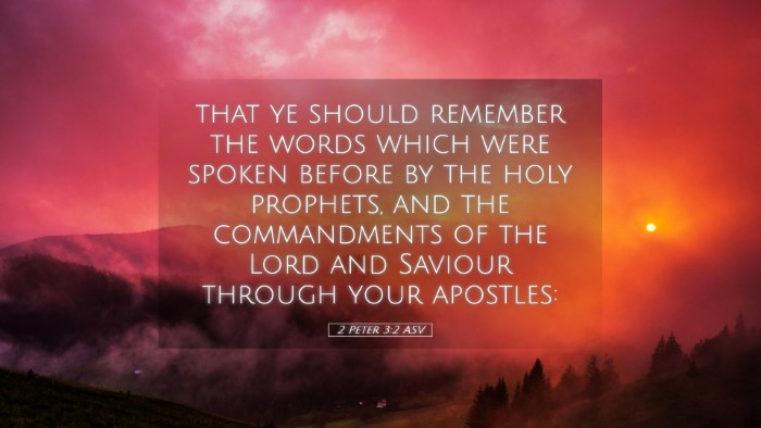 Picture 05 - 2 Peter 3:2 ASV Desktop Wallpaper - that ye should remember the words which were - Desktop Bible Verse Wallpaper