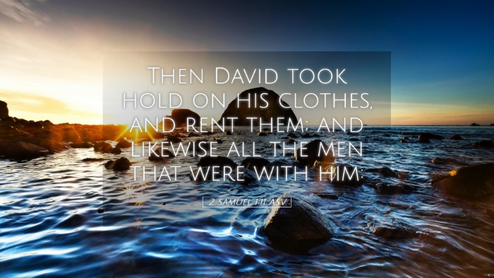 Picture 05 - 2 Samuel 1:11 ASV Desktop Wallpaper - Then David took hold on his clothes, and rent - Desktop Bible Verse Wallpaper