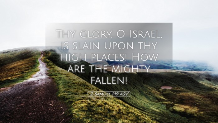 Picture 05 - 2 Samuel 1:19 ASV Desktop Wallpaper - Thy glory, O Israel, is slain upon thy high - Desktop Bible Verse Wallpaper