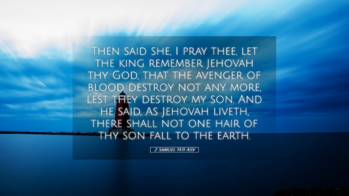 Picture 05 - 2 Samuel 14:11 ASV Desktop Wallpaper - Then said she, I pray thee, let the king remember - Desktop Bible Verse Wallpaper