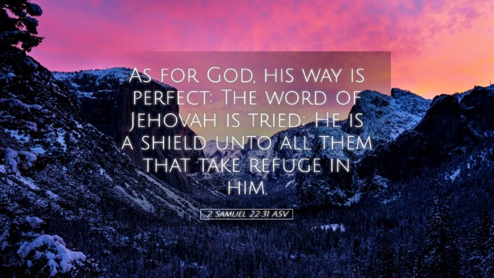 Picture 05 - 2 Samuel 22:31 ASV Desktop Wallpaper - As for God, his way is perfect: The word of - Desktop Bible Verse Wallpaper
