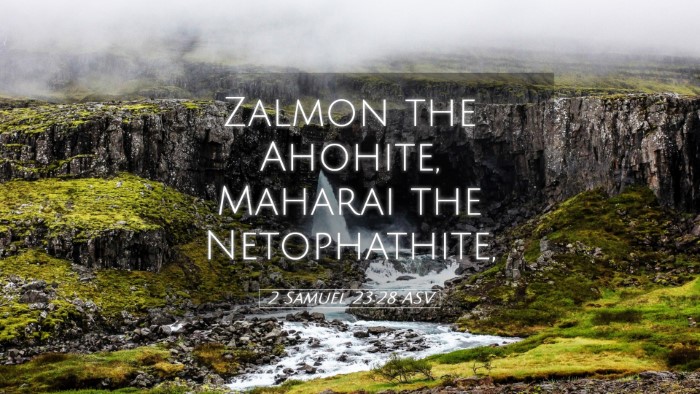 Picture 05 - 2 Samuel 23:28 ASV Desktop Wallpaper - Zalmon the Ahohite, Maharai the - Desktop Bible Verse Wallpaper