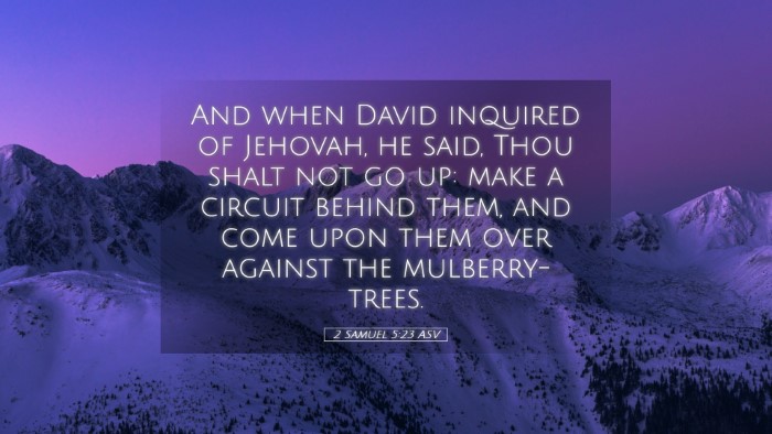 Picture 05 - 2 Samuel 5:23 ASV Desktop Wallpaper - And when David inquired of Jehovah, he said, Thou - Desktop Bible Verse Wallpaper