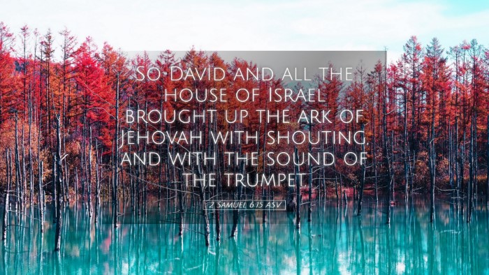 Picture 05 - 2 Samuel 6:15 ASV Desktop Wallpaper - So David and all the house of Israel brought up - Desktop Bible Verse Wallpaper