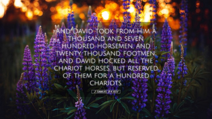 Picture 05 - 2 Samuel 8:4 ASV Desktop Wallpaper - And David took from him a thousand and seven - Desktop Bible Verse Wallpaper