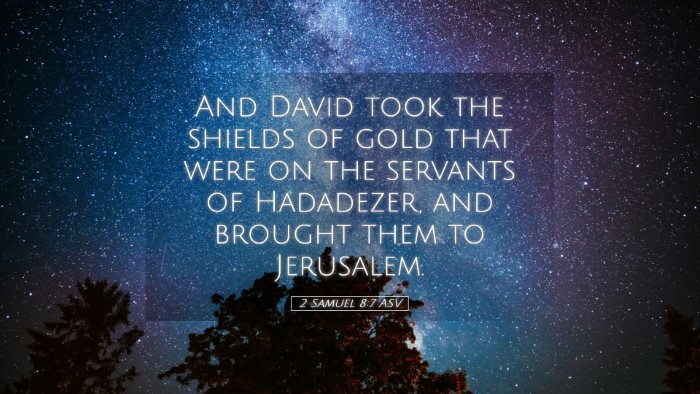 Picture 05 - 2 Samuel 8:7 ASV Desktop Wallpaper - And David took the shields of gold that were on - Desktop Bible Verse Wallpaper
