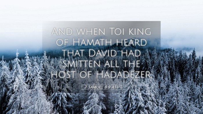 Picture 05 - 2 Samuel 8:9 ASV Desktop Wallpaper - And when Toi king of Hamath heard that David had - Desktop Bible Verse Wallpaper