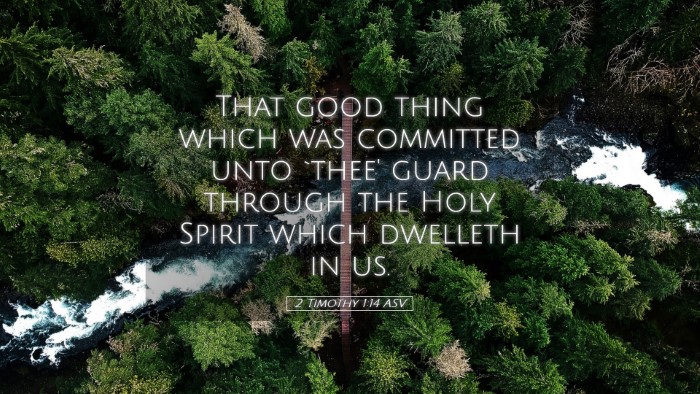 Picture 05 - 2 Timothy 1:14 ASV Desktop Wallpaper - That good thing which was committed unto `thee' - Desktop Bible Verse Wallpaper