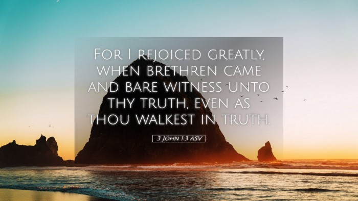 Picture 05 - 3 John 1:3 ASV Desktop Wallpaper - For I rejoiced greatly, when brethren came and - Desktop Bible Verse Wallpaper