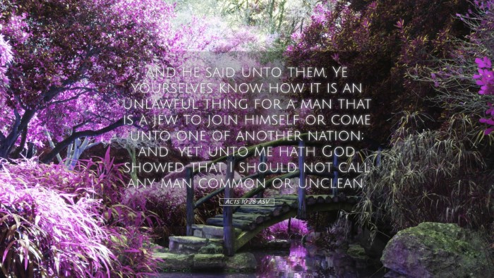 Picture 05 - Acts 10:28 ASV Desktop Wallpaper - and he said unto them, Ye yourselves know how it - Desktop Bible Verse Wallpaper