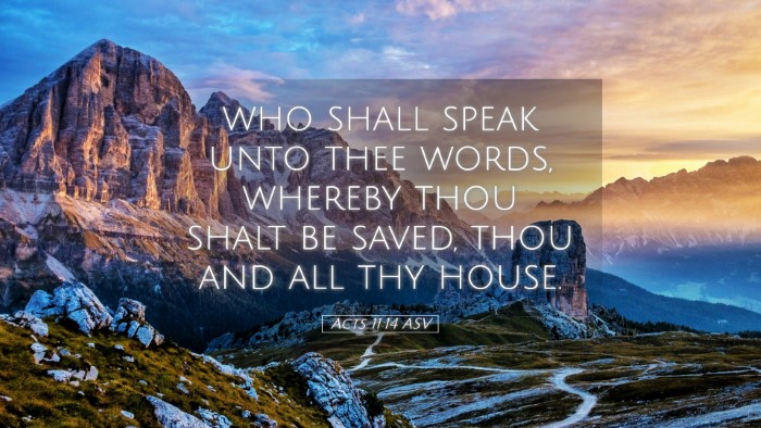 Picture 05 - Acts 11:14 ASV Desktop Wallpaper - who shall speak unto thee words, whereby thou - Desktop Bible Verse Wallpaper