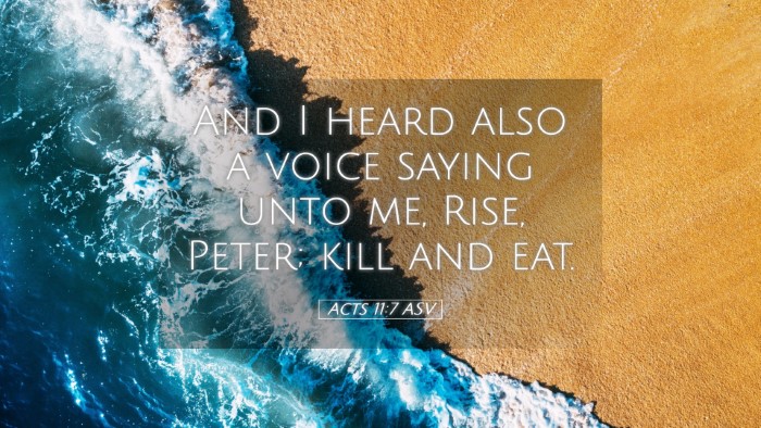 Picture 05 - Acts 11:7 ASV Desktop Wallpaper - And I heard also a voice saying unto me, Rise, - Desktop Bible Verse Wallpaper