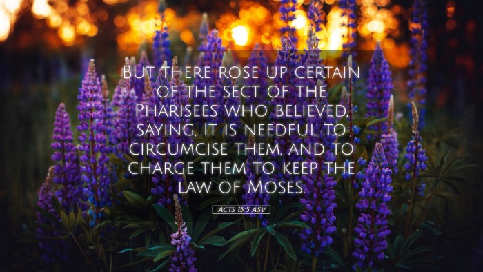 Picture 05 - Acts 15:5 ASV Desktop Wallpaper - But there rose up certain of the sect of the - Desktop Bible Verse Wallpaper
