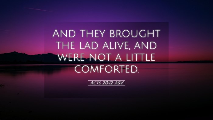 Picture 05 - Acts 20:12 ASV Desktop Wallpaper - And they brought the lad alive, and were not a - Desktop Bible Verse Wallpaper