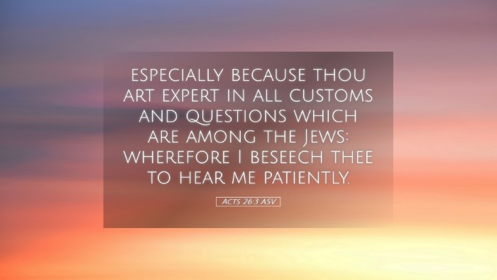 Picture 05 - Acts 26:3 ASV Desktop Wallpaper - especially because thou art expert in all customs - Desktop Bible Verse Wallpaper