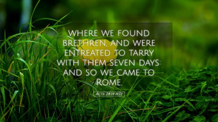 Picture 05 - Acts 28:14 ASV Desktop Wallpaper - where we found brethren, and were entreated to - Desktop Bible Verse Wallpaper