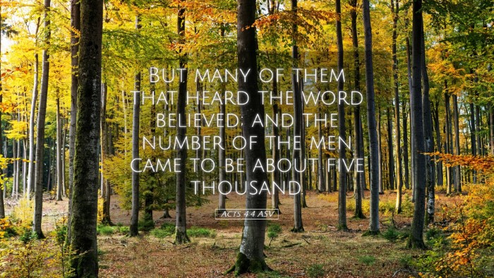Picture 05 - Acts 4:4 ASV Desktop Wallpaper - But many of them that heard the word believed; - Desktop Bible Verse Wallpaper