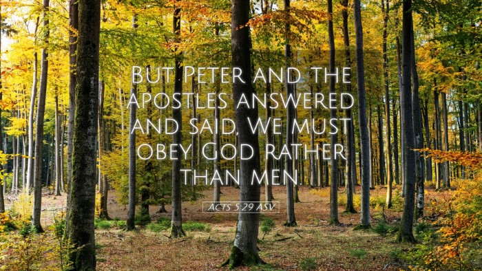 Picture 05 - Acts 5:29 ASV Desktop Wallpaper - But Peter and the apostles answered and said, We - Desktop Bible Verse Wallpaper