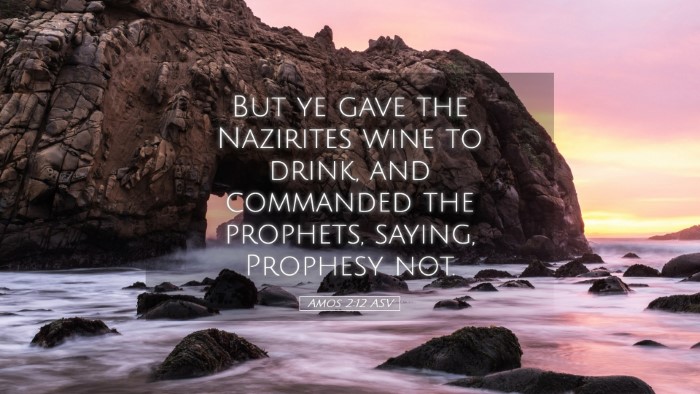 Picture 05 - Amos 2:12 ASV Desktop Wallpaper - But ye gave the Nazirites wine to drink, and - Desktop Bible Verse Wallpaper