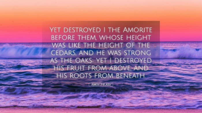 Picture 05 - Amos 2:9 ASV Desktop Wallpaper - Yet destroyed I the Amorite before them, whose - Desktop Bible Verse Wallpaper