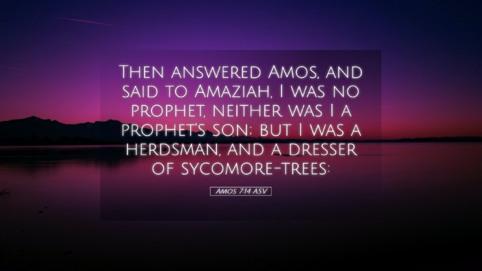 Picture 05 - Amos 7:14 ASV Desktop Wallpaper - Then answered Amos, and said to Amaziah, I was no - Desktop Bible Verse Wallpaper
